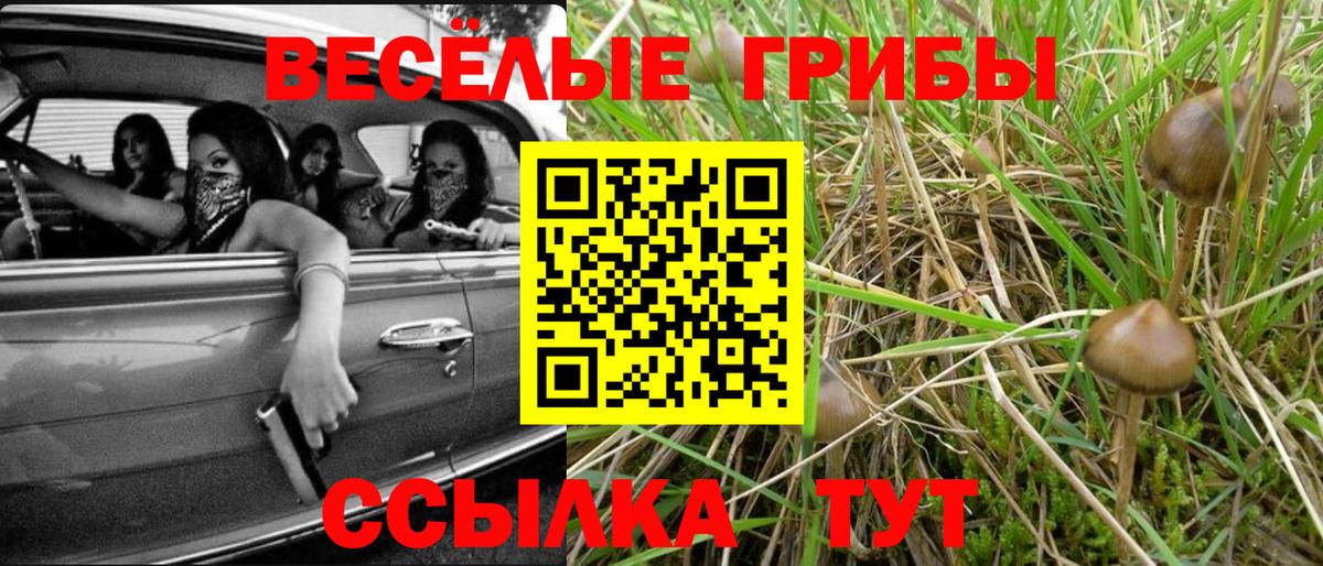Галлюциногенные грибы мухоморы Димитровград