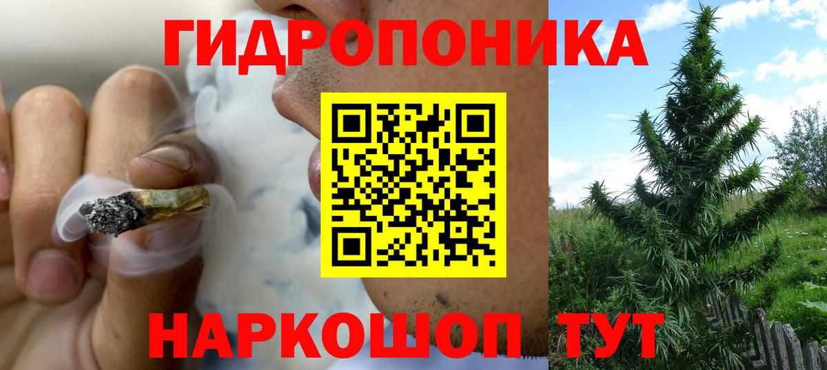 Марихуана OG Kush Димитровград